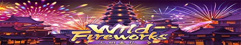 AnyConv.com__Untitled-1-cover-game-Wild Firework